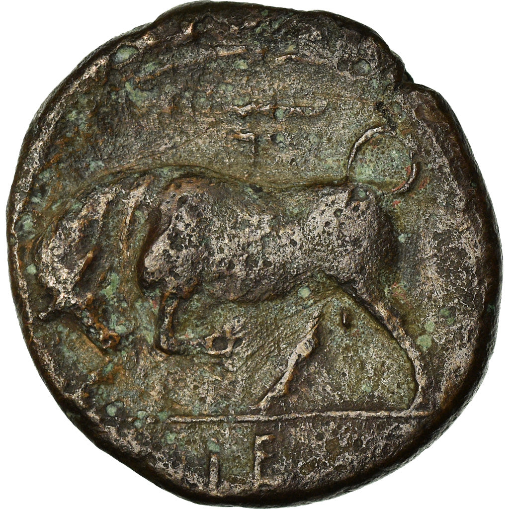 Coin, Sicily, Syracuse, Hieron II, Bronze Æ, 275-269/5 BC, VF(20-25), Bronze