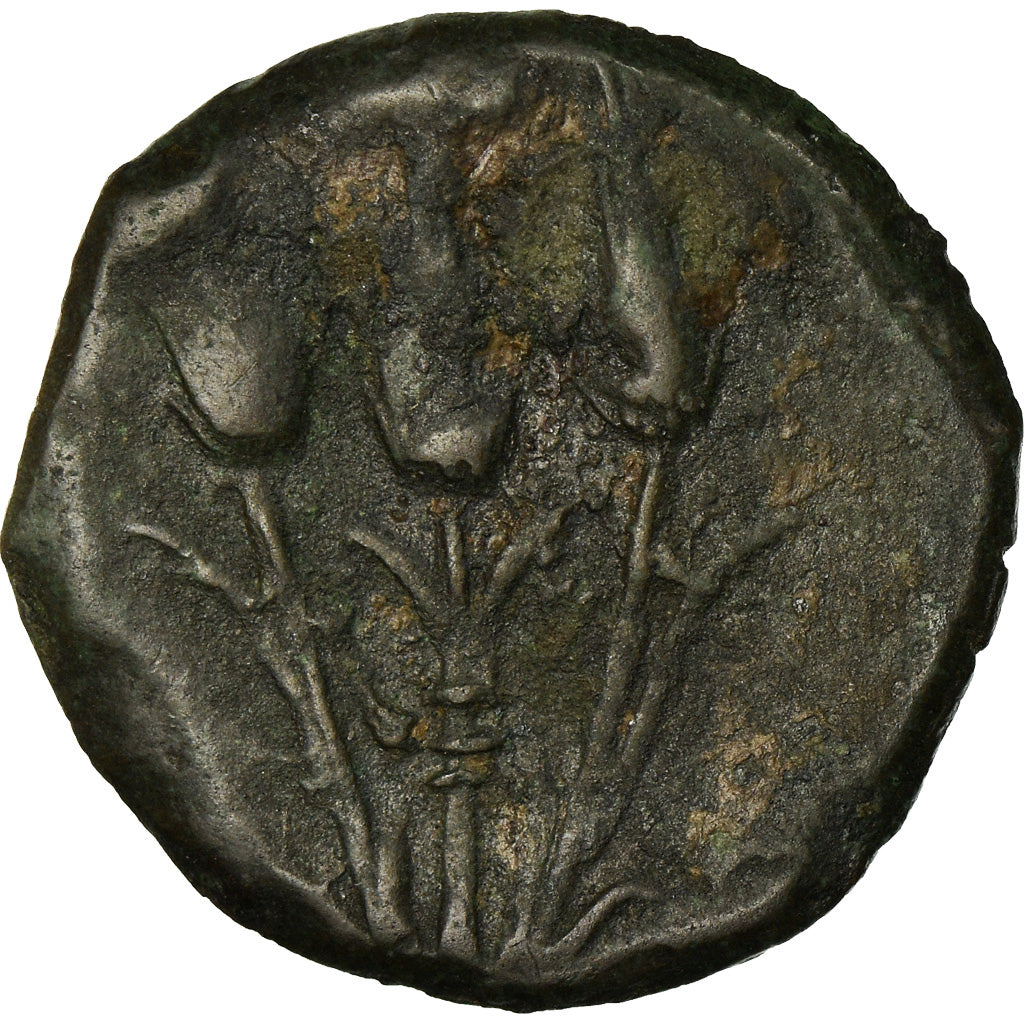 Monnaie, Sardaigne, Révolte lybienne, Shekel, 241-238 BC, TTB, Bronze