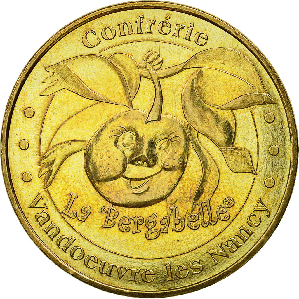 France, Token, Touristic token, Vandoeuvre -les Nancy - Bergabelle, 2009, MDP