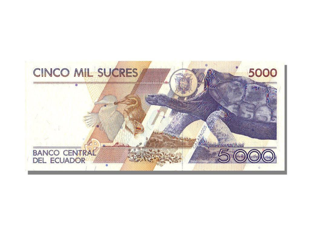 Ecuador, 5000 Sucres, 1995, KM #128b, 1995-01-31, UNC(65-70), AK