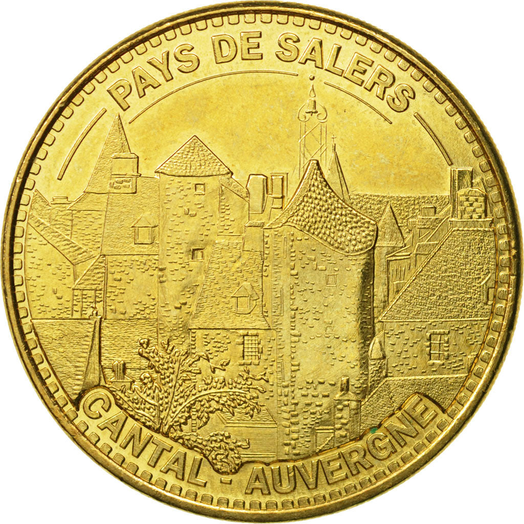 France, Token, Touristic token, 15/ Pays de Salers - Cantal, 2013, MDP