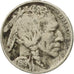 Moneta, Stati Uniti, Buffalo Nickel, 5 Cents, 1919, U.S. Mint, Denver, MB+