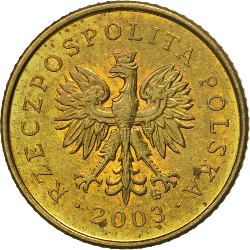 Coin, Poland, Grosz, 2003, Warsaw, EF(40-45), Brass, KM:276