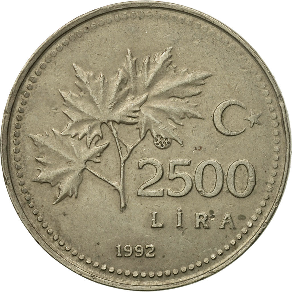 Coin, Turkey, 2500 Lira, 1992, EF(40-45), Nickel-Bronze, KM:1015