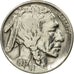 Munten, Verenigde Staten, Buffalo Nickel, 5 Cents, 1937, U.S. Mint