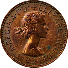 Coin, Great Britain, Elizabeth II, 1/2 Penny, 1955, EF(40-45), Bronze, KM:896