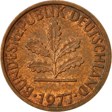 Coin, GERMANY - FEDERAL REPUBLIC, Pfennig, 1977, Stuttgart, VF(20-25), Copper