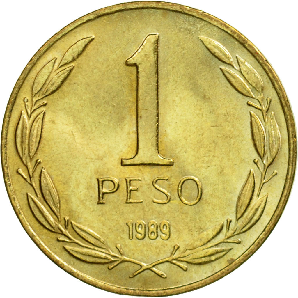 Moneta, Cile, Peso, 1989, BB+, Alluminio-bronzo, KM:216.2