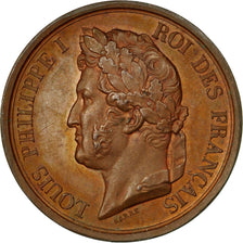 France, Medal, Louis Philippe I, Politics, Society, War, Barre, EF(40-45)