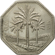 Coin, Iraq, 250 Fils, 1981, EF(40-45), Copper-nickel, KM:147
