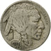 Coin, United States, Buffalo Nickel, 5 Cents, 1935, U.S. Mint, Philadelphia