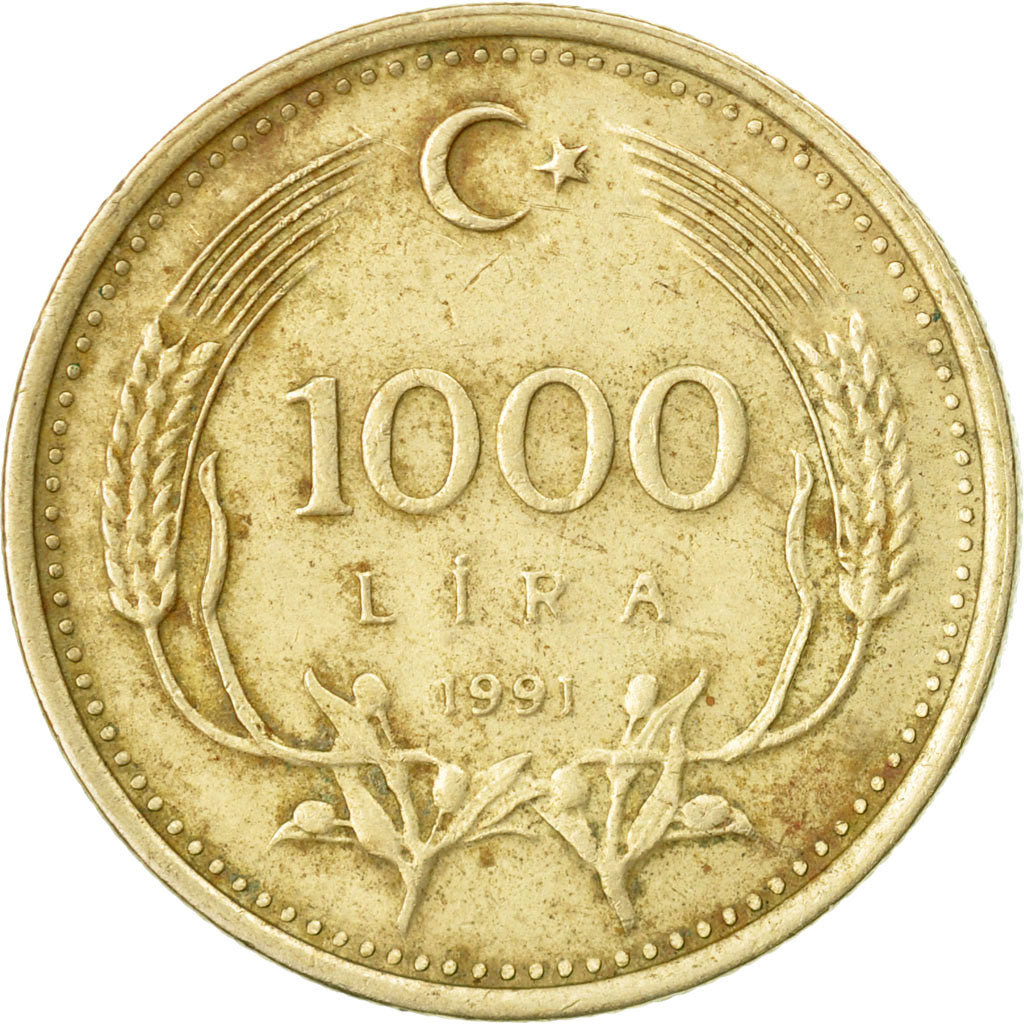 Coin, Turkey, 1000 Lira, 1991, VF(20-25), Nickel-brass, KM:997