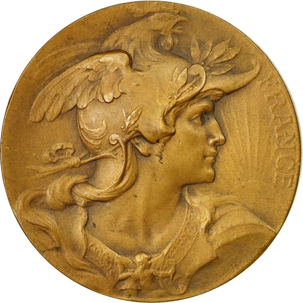 Francja, Medal, Comice Agricole de l'Arrondissement de Lille, 1853, Bottée