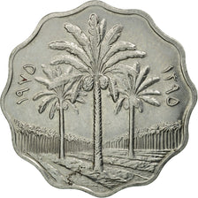Monnaie, Iraq, 10 Fils, 1975, SPL, Stainless Steel, KM:142