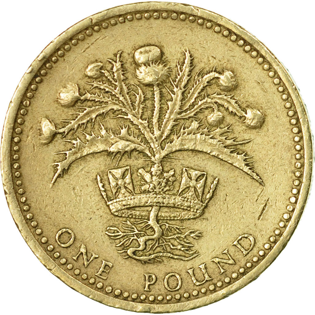 Coin, Great Britain, Elizabeth II, Pound, 1989, VF(20-25), Nickel-brass, KM:959