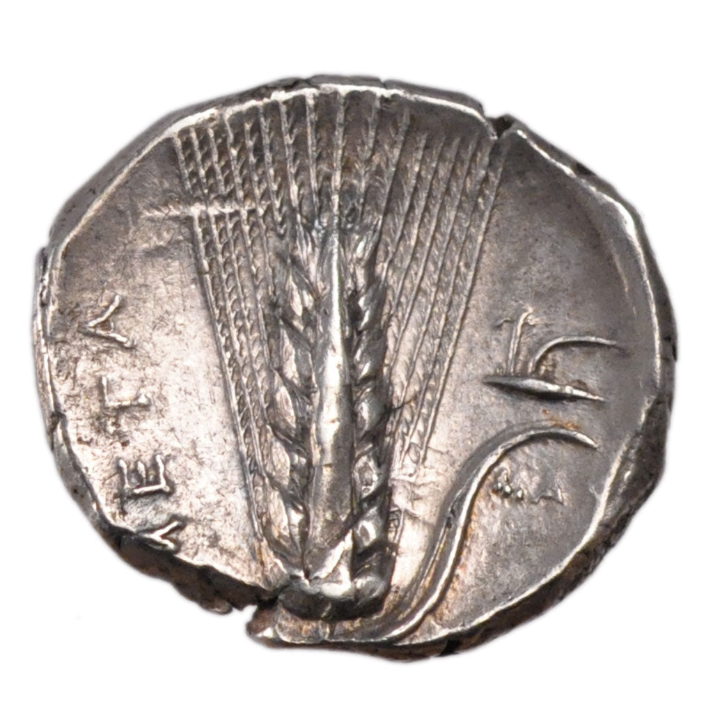 M&eacute;taponte (330-30 Bf JC), M&eacute;taponte (330-30 Bf JC), Stater,...