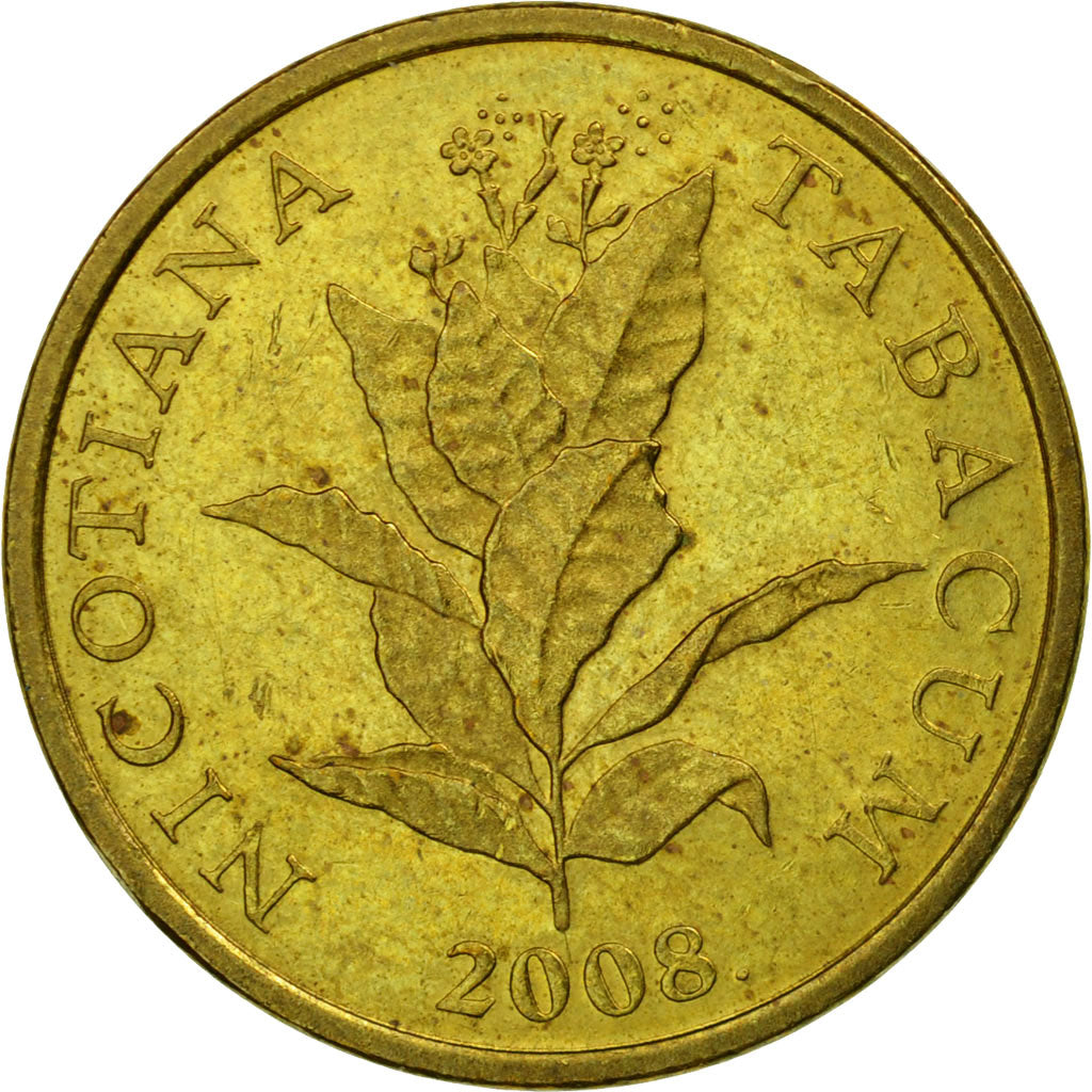 Coin, Croatia, 10 Lipa, 2008, EF(40-45), Brass plated steel, KM:16