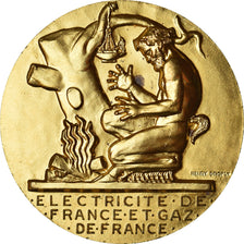 Frankrijk, Medaille, Électricité de France et gaz de France, Business &