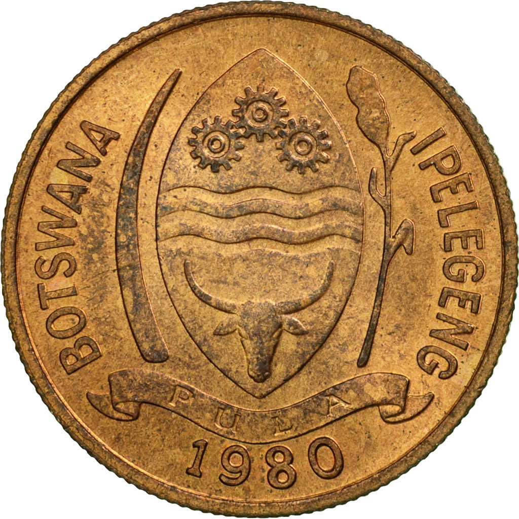 Coin, Botswana, 5 Thebe, 1980, British Royal Mint, EF(40-45), Bronze, KM:4