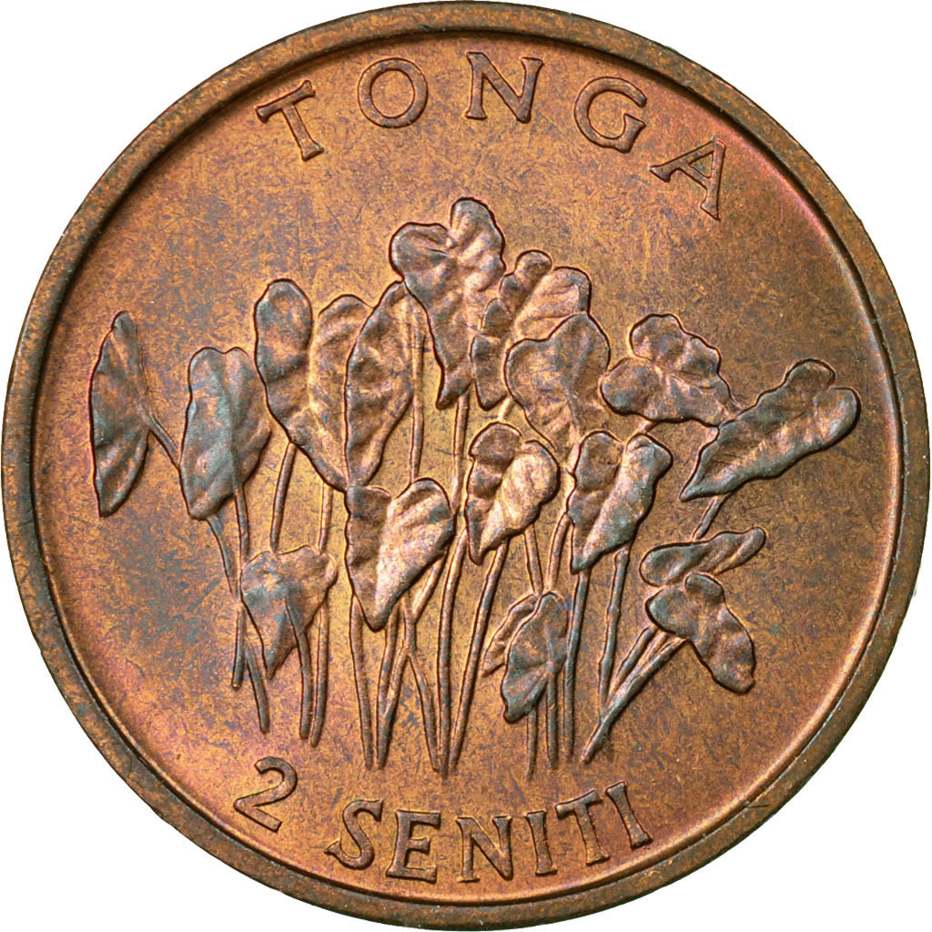 Moneta, Tonga, King Taufa'ahau Tupou IV, 2 Seniti, 1981, EF(40-45), Bronze
