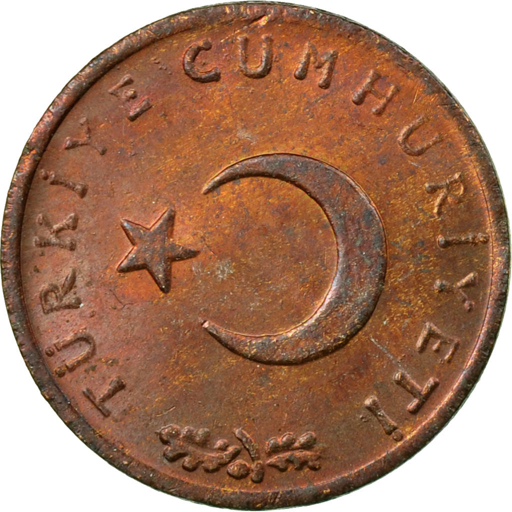 Coin, Turkey, Kurus, 1974, EF(40-45), Bronze, KM:895a