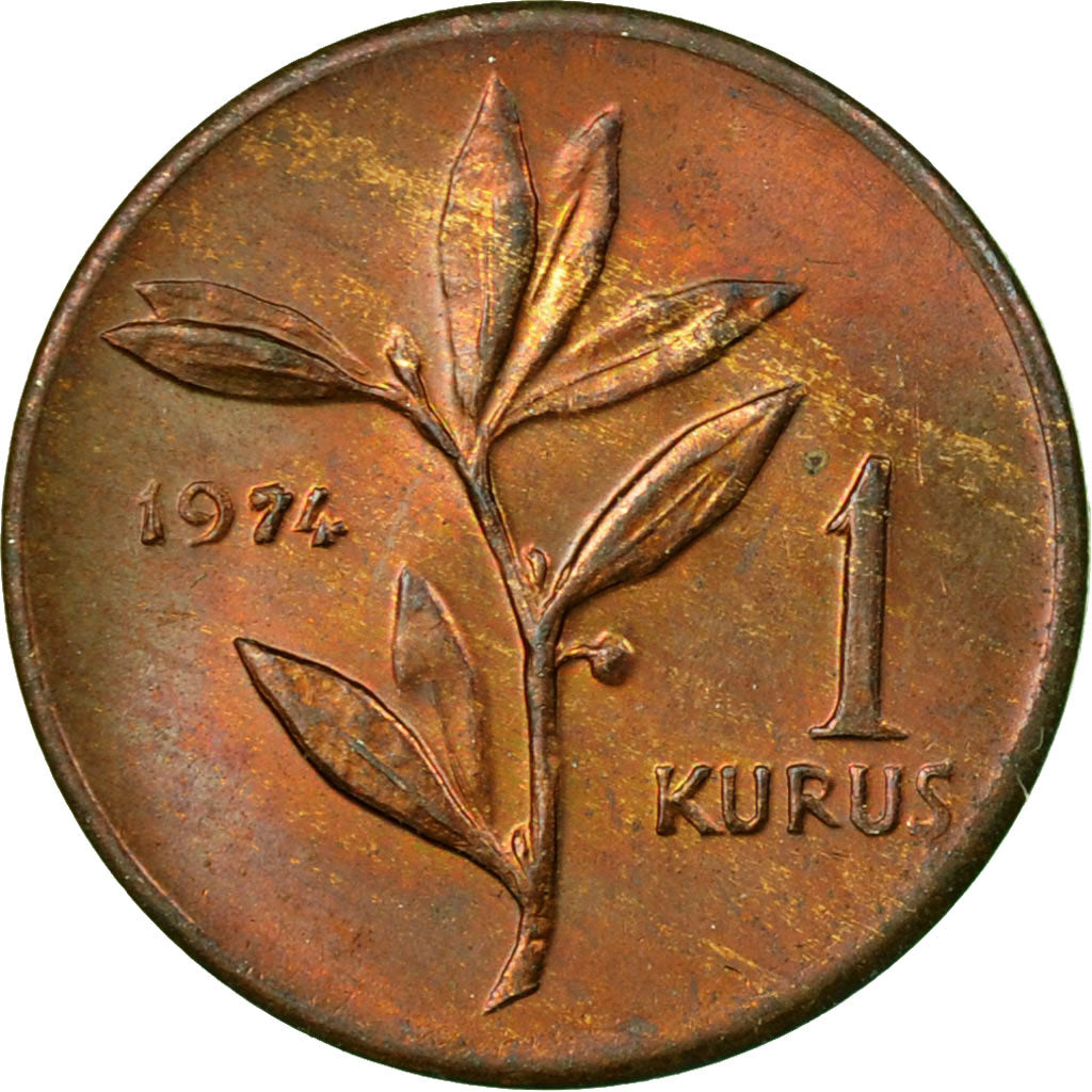 Coin, Turkey, Kurus, 1974, EF(40-45), Bronze, KM:895a