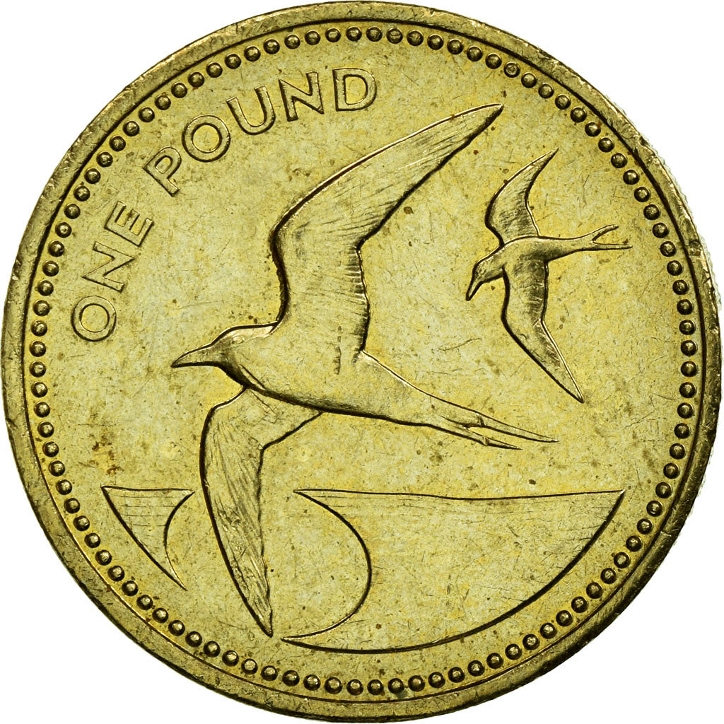 Coin, SAINT HELENA & ASCENSION, Elizabeth II, Pound, 1991, British Royal Mint