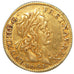 Louis XIII, ½ Louis d'or