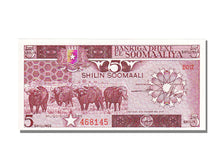 Somalia, 5 Shilin, 1986, UNC(65-70)