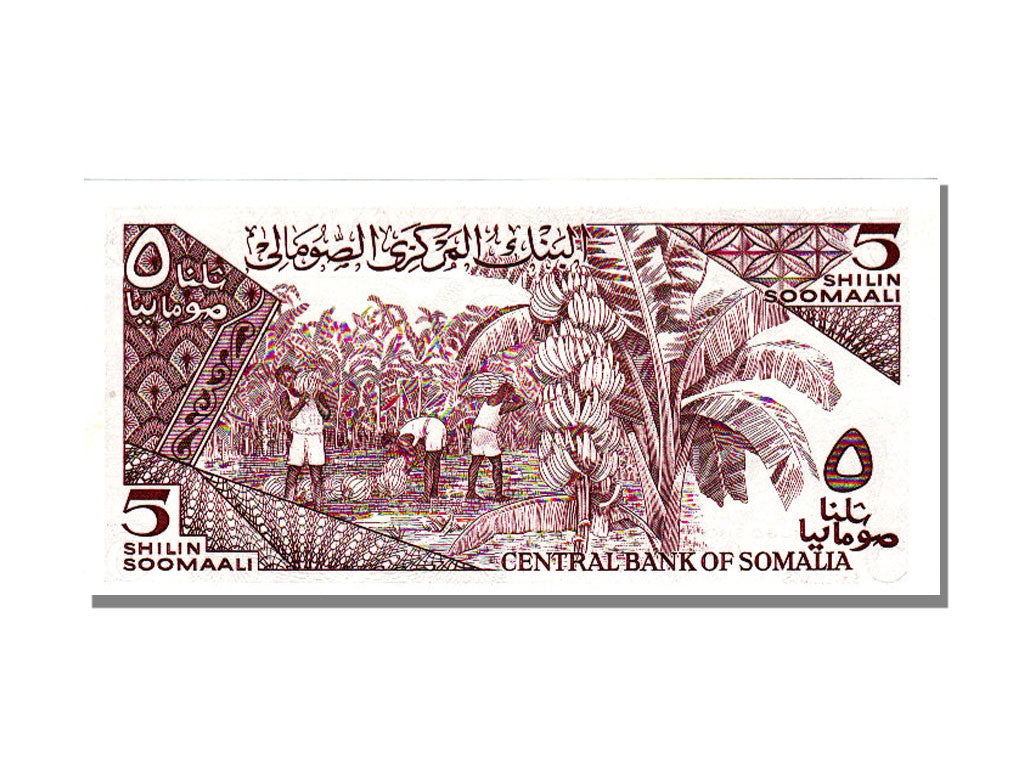Somalia, 5 Shilin, 1986, UNC(65-70)
