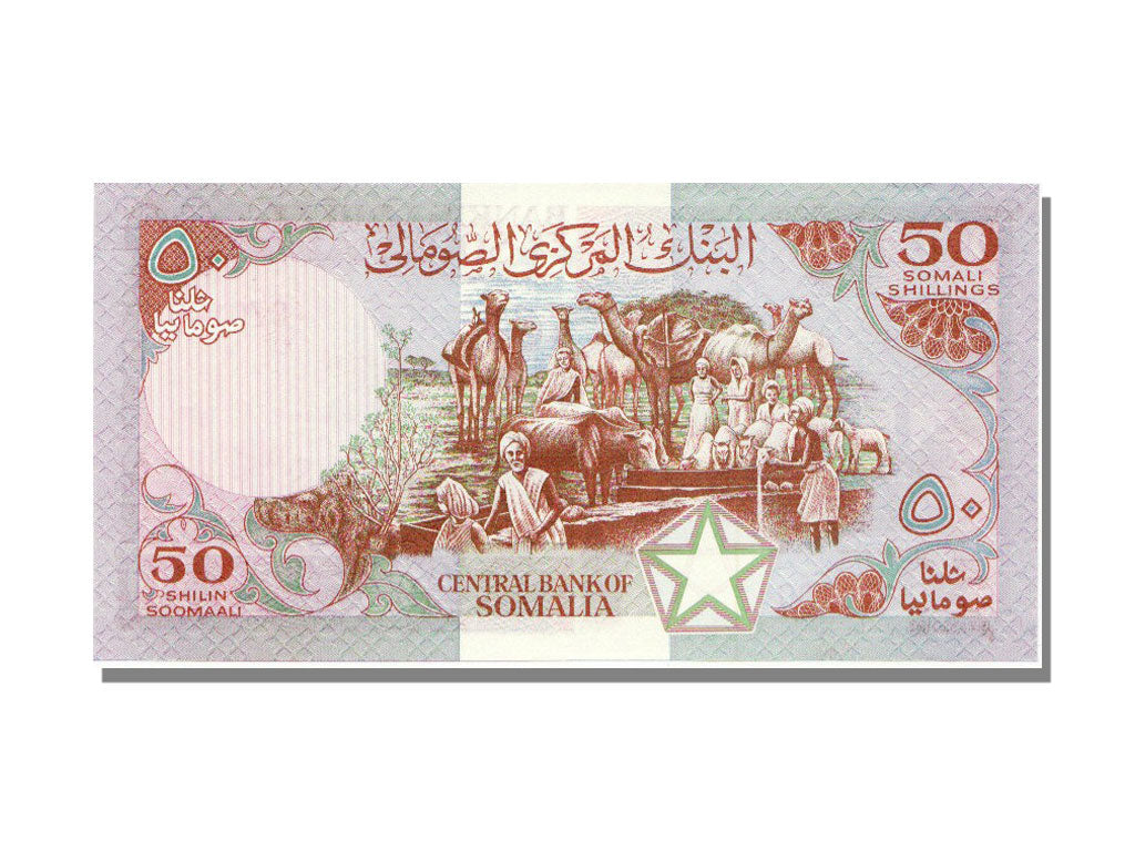 Somalia, 50 Shilin = 50 Shillings, 1987, KM #34b, UNC(65-70), D114 870100