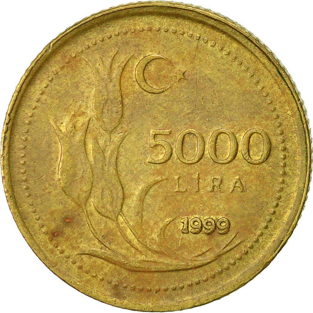 Coin, Turkey, 5000 Lira, 1999, EF(40-45), Brass, KM:1029.2