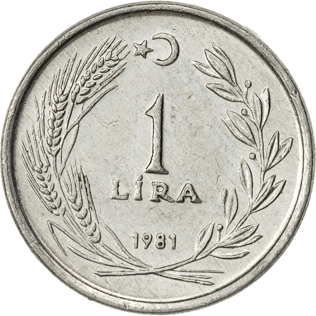 Moneta, Turchia, Lira, 1981, BB, Alluminio, KM:943