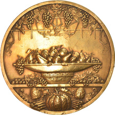France, Médaille, Comice Agricole, Fondettes, 1937, SUP, Bronze