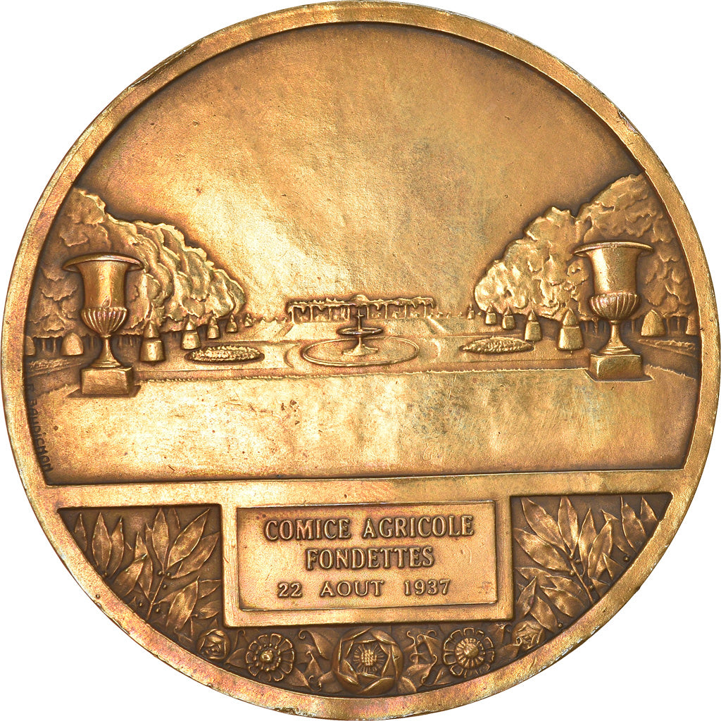 France, Médaille, Comice Agricole, Fondettes, 1937, SUP, Bronze