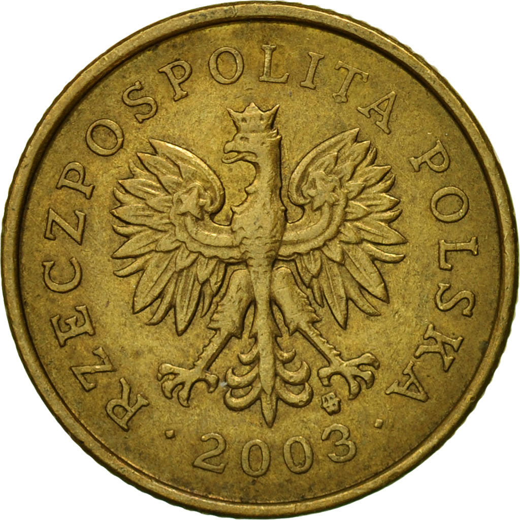 Coin, Poland, 5 Groszy, 2003, Warsaw, EF(40-45), Brass, KM:278