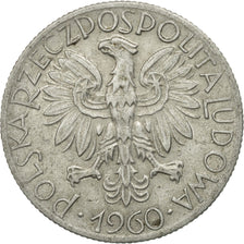 Coin, Poland, 5 Zlotych, 1960, Warsaw, VF(30-35), Aluminum, KM:47