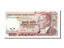 Turkey, 5000 Lira, 1970, KM #197, UNC(65-70), C14119126