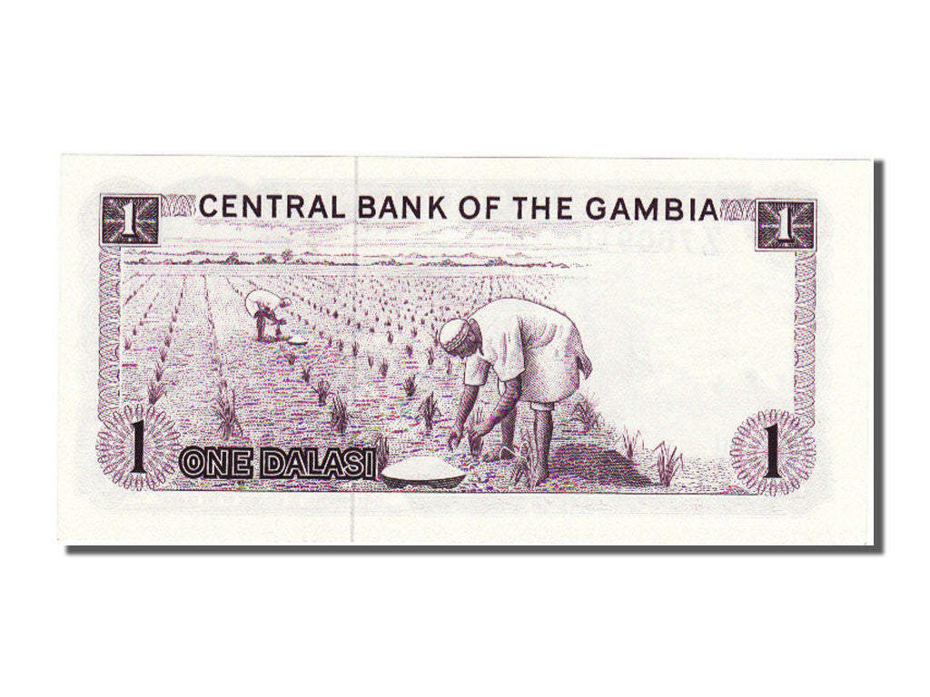 Banknote, Gambia, 25 Dalasis, UNC(65-70)