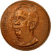 Francia, Medal, Abram Krol, 1975, Goldberg, EBC+, Cobre