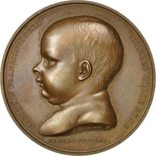 France, Medal, Napoleon Ier , Naissance du Roi de Rome, 1811, Andrieu