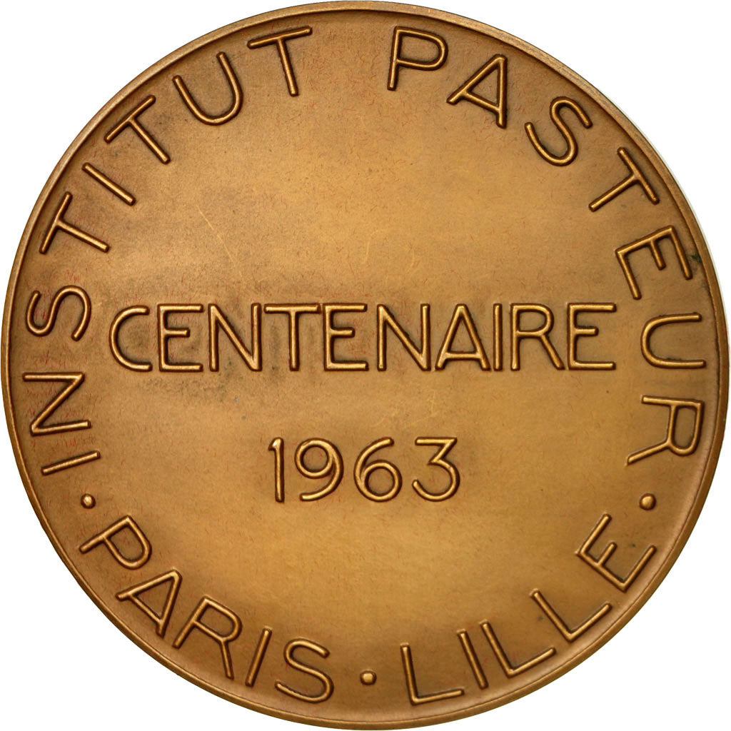 Francia, Medal, Albert Calmette , Institut Pasteur, 1963, Turin, SPL+, Bronzo