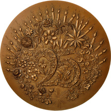 France, Medal, Noces d'Argent, 1981, D. Ponce, SUP, Bronze
