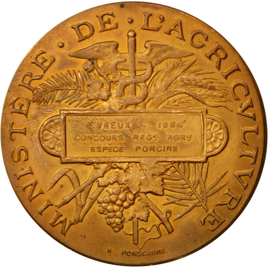 Francia, Medal, Ministère de l'Agriculture, 1886, Ponscarme, MBC, Bronce