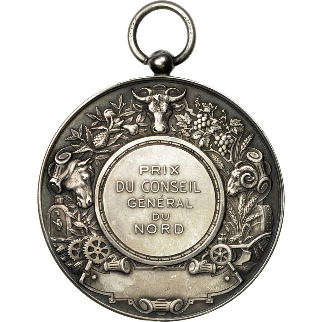 France, Medal, Prix du Conseil Général du Nord, Roty, AU(55-58), Silver