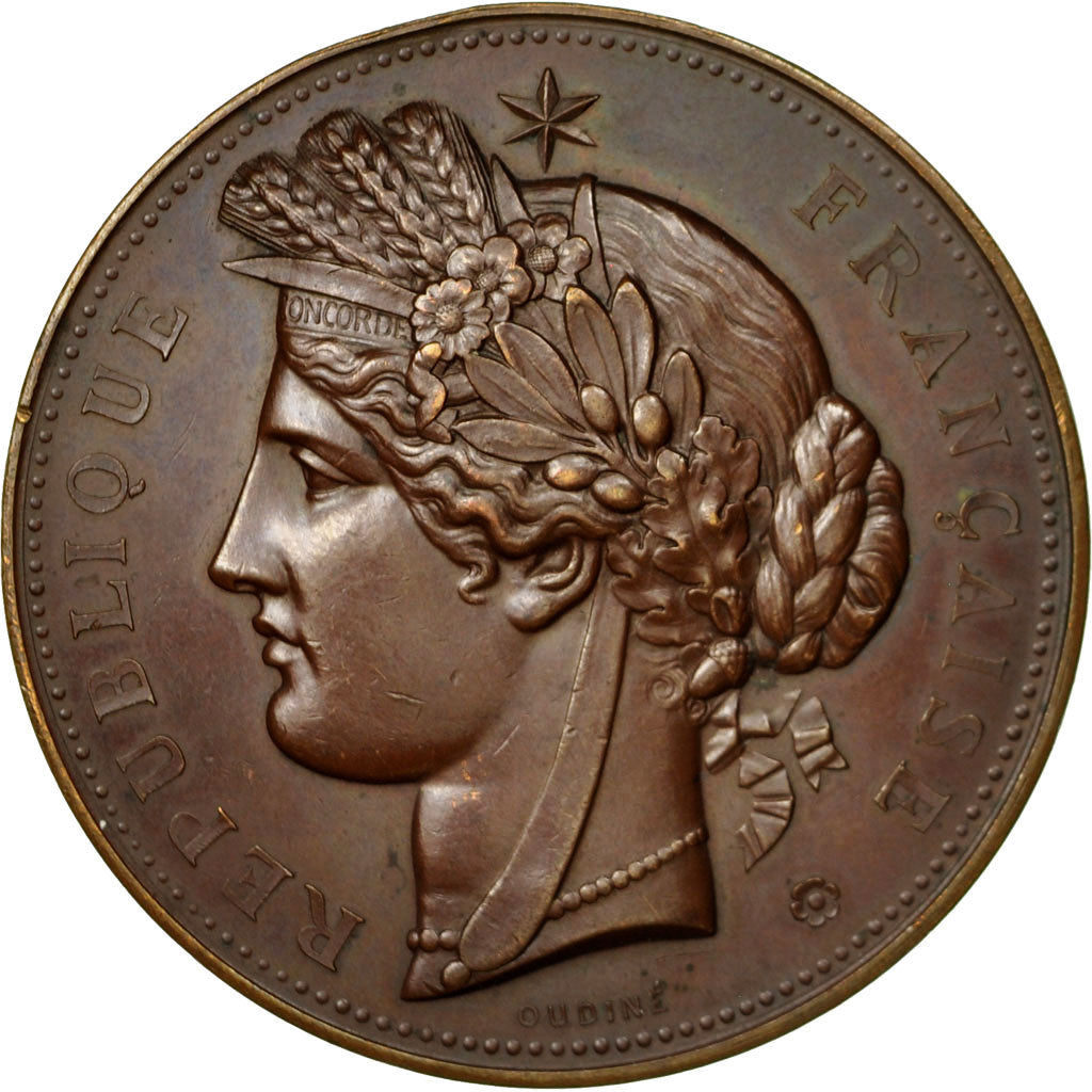 Francia, Medal, Association Philotechnique de Neuilly s/Seine, 1880, Oudiné