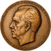 Frankreich, Medal, Professeur Jean Verne, 1956, Muller, UNZ, Bronze