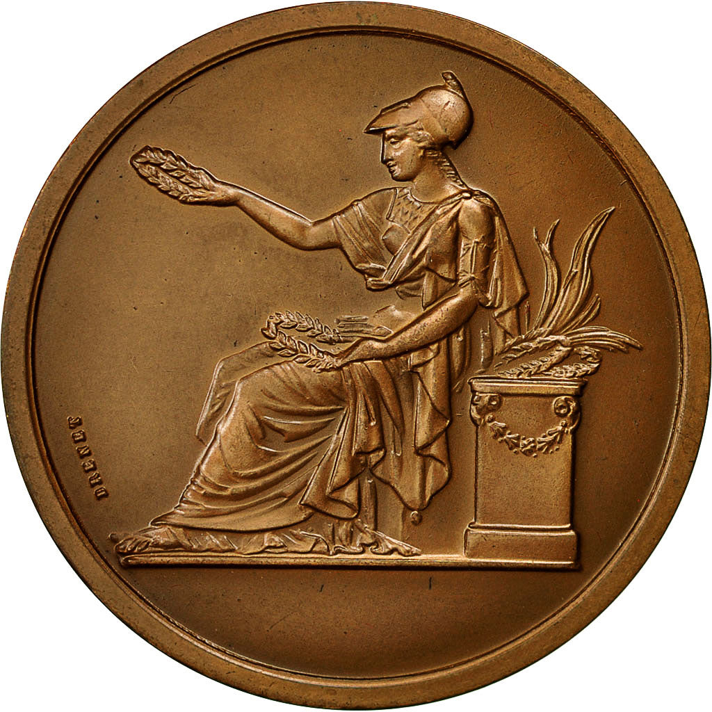 France, Medal, Société Industrielle du Nord de la France, 1982, Brenet