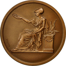 France, Medal, Société Industrielle du Nord de la France, 1982, Brenet
