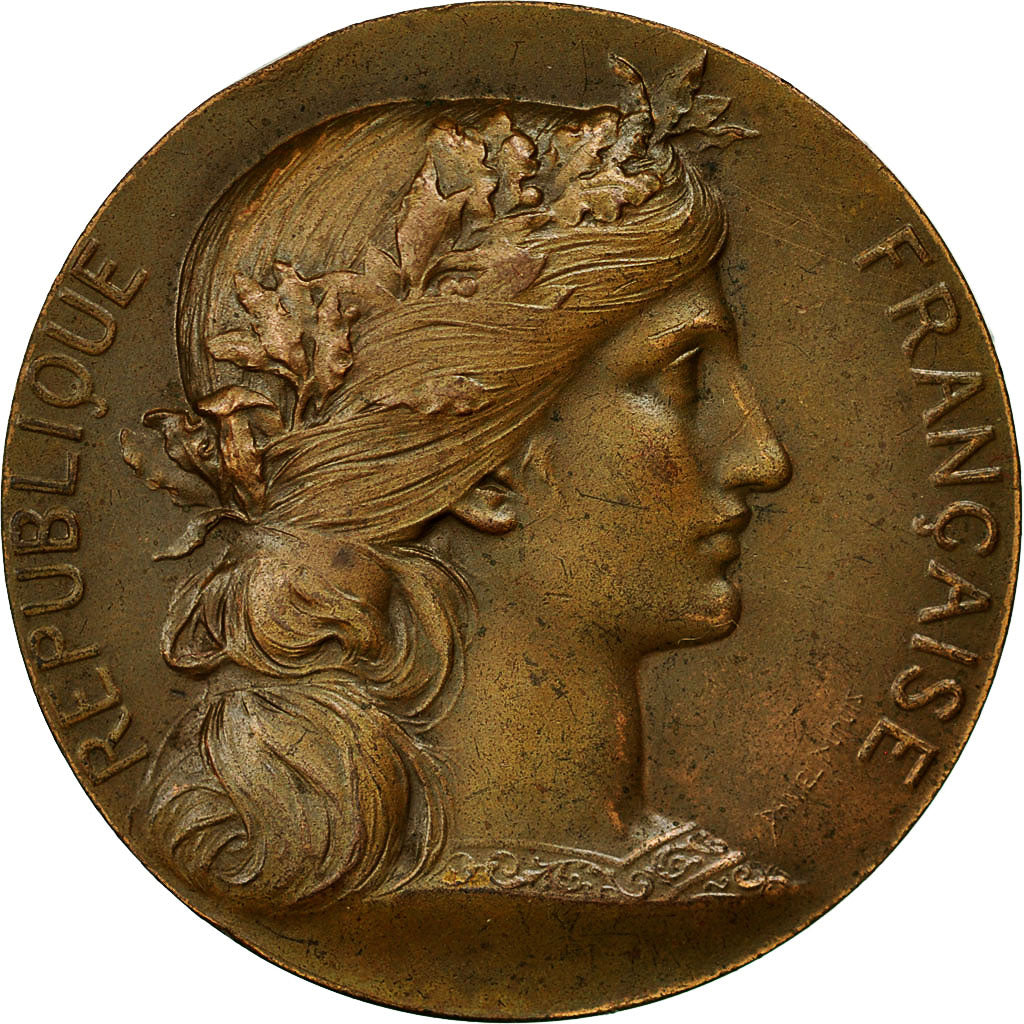 Francia, Medal, Cercle Comptable de la Vallée de l'Escaut, 1970, Dupuis.D, EBC